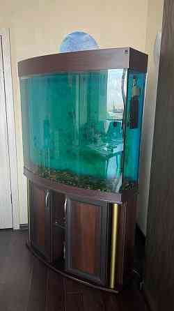 Аквариум Донецк