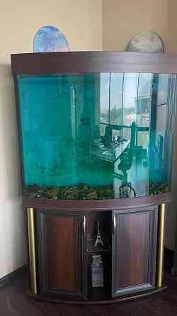 Аквариум Донецк