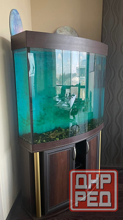 Аквариум Донецк - изображение 1