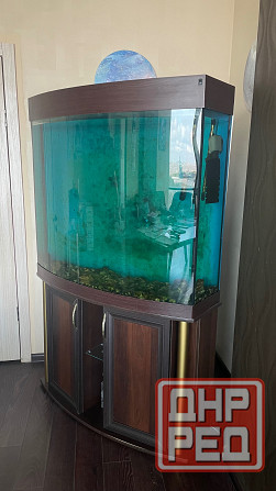 Аквариум Донецк - изображение 3