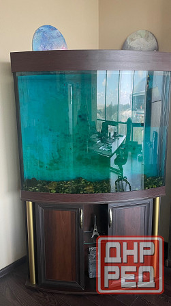 Аквариум Донецк - изображение 2