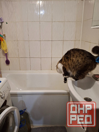 Продам 3х ком.кв.Пролетарский рн. Донецк - изображение 4