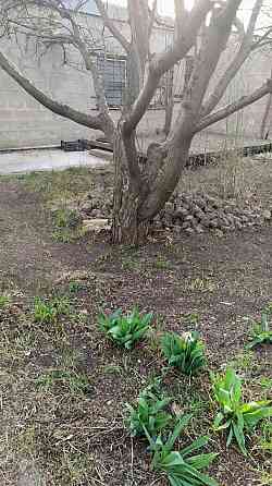 Продам дачу в Ленинском районе Донецка Донецк