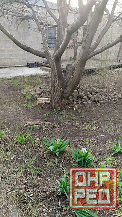 Продам дачу в Ленинском районе Донецка Донецк - изображение 2