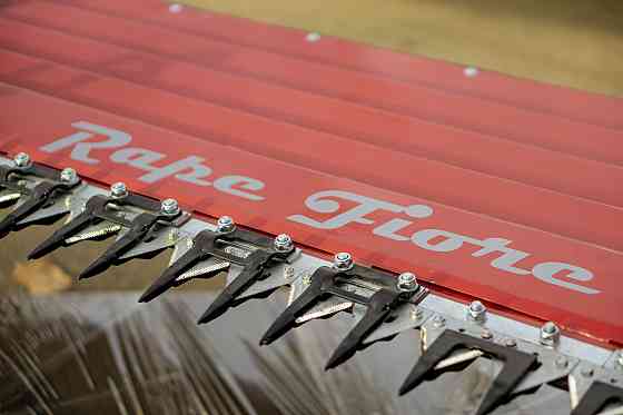 Рапсовый стол Санфлоро Rape Fiore, 2026 Бердянск