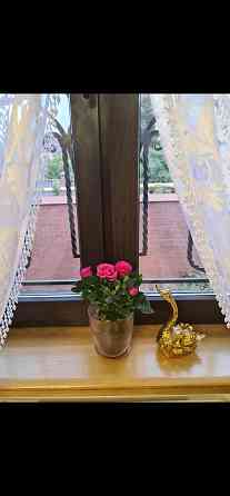 Продам-дворец дом в центре Донецка Донецк