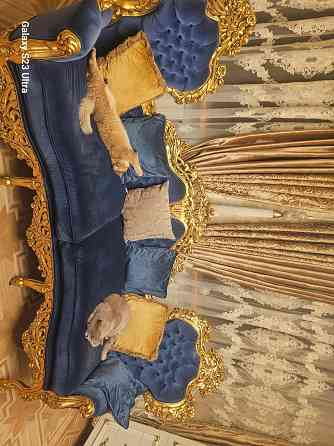 Продам-дворец дом в центре Донецка Донецк