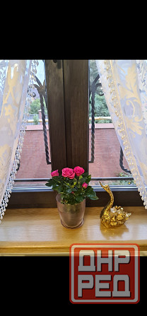 Продам-дворец дом в центре Донецка Донецк - изображение 3