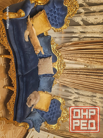 Продам-дворец дом в центре Донецка Донецк - изображение 1