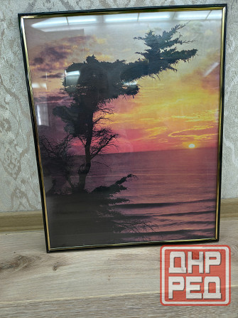 Картина под стеклом. «Рассвет» Донецк - изображение 3