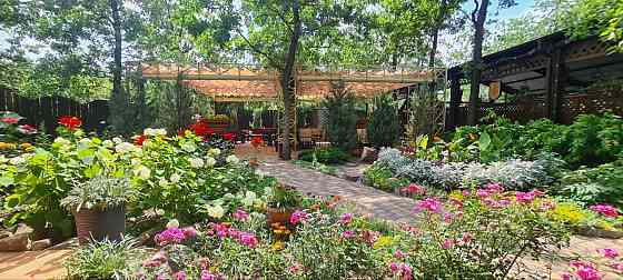 Продажа готового ресторанного бизнеса в Бердянске: прибыльное заведение с легендарной репутацией! Бердянск