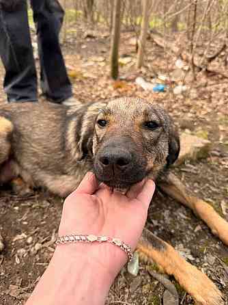 Ситуация SOS!!!!! Донецк