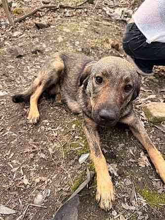 Ситуация SOS!!!!! Донецк