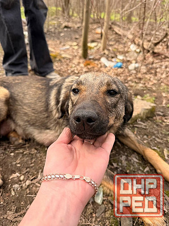 Ситуация SOS!!!!! Донецк - изображение 2