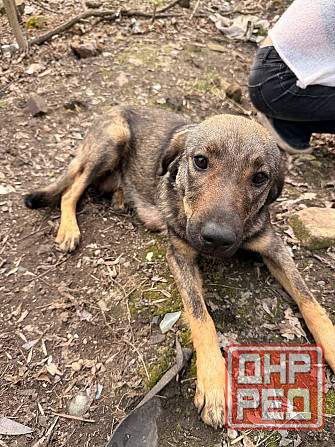 Ситуация SOS!!!!! Донецк - изображение 1