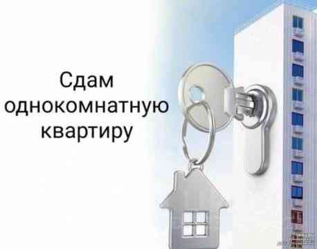 1к Даки 3/5 Макеевка