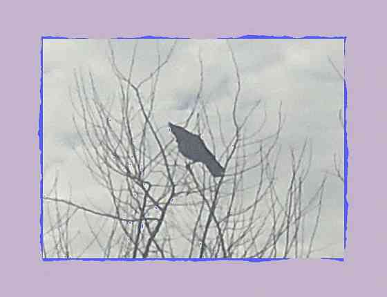 Елена Симонян выписа расчёт Донецк