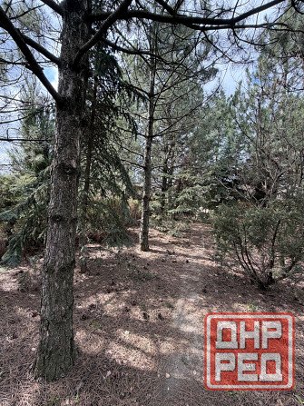 Продам дом пос.Доля. Донецк - изображение 7