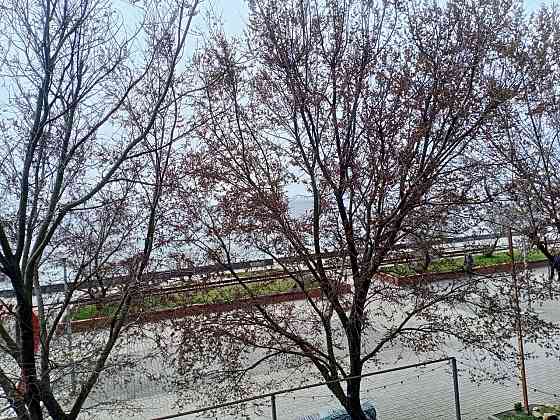 Сдам уютную квартиру с прекрасным видом на море Бердянск