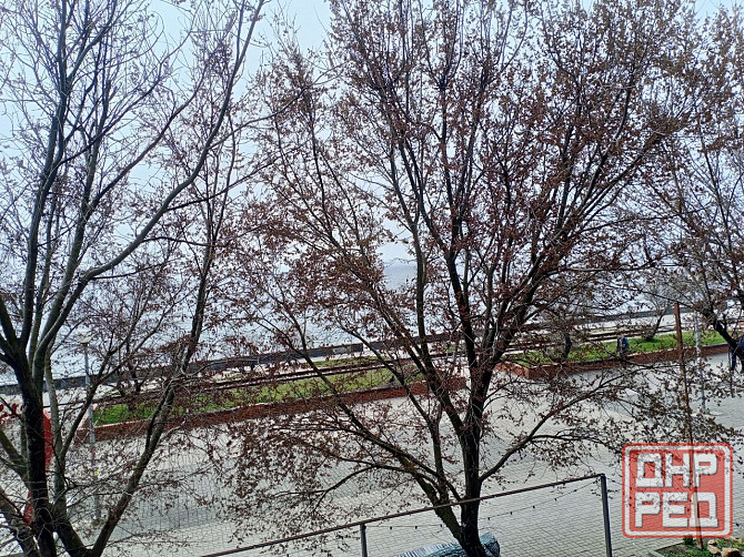 Сдам уютную квартиру с прекрасным видом на море Бердянск - изображение 6