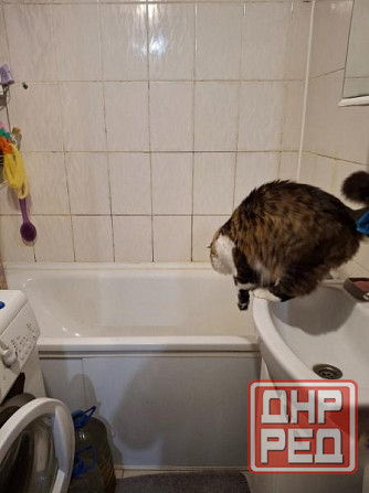 3 к.кв., 7/9 этаж, 65 м2, Пролетарский р-н, ул. Щетинина, 7 млн руб Донецк - изображение 4