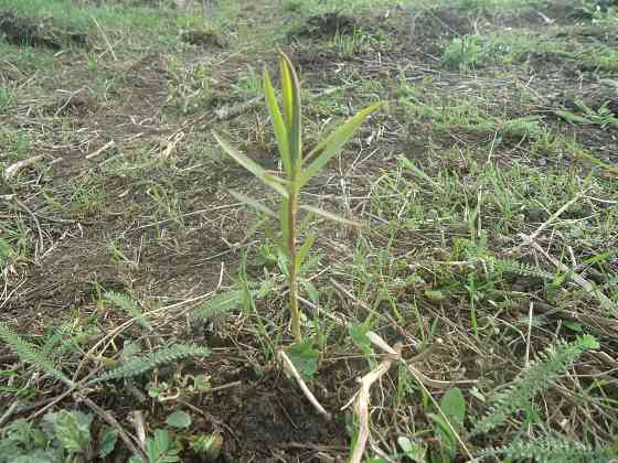 Тоже пьёшь когда-то, до упада Донецк