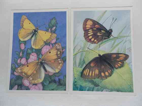 Набор открыток Бабочки Донецк
