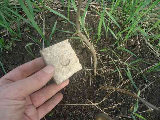 Shake that load off, Ericah Badu Донецк