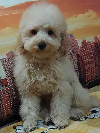 Вязка Донецк