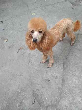 Вязка Донецк