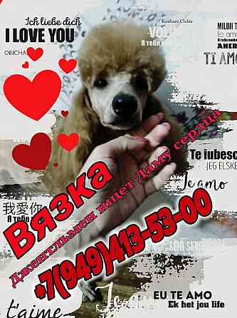 Вязка Донецк