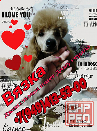 Вязка Донецк - изображение 1