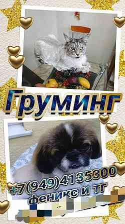 Груминг Донецк