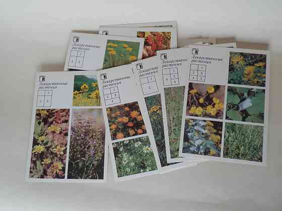 Набор открыток "Ваш приусадебный участок. Лекарственные растения" Донецк