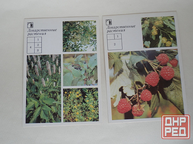 Набор открыток "Ваш приусадебный участок. Лекарственные растения" Донецк - изображение 3