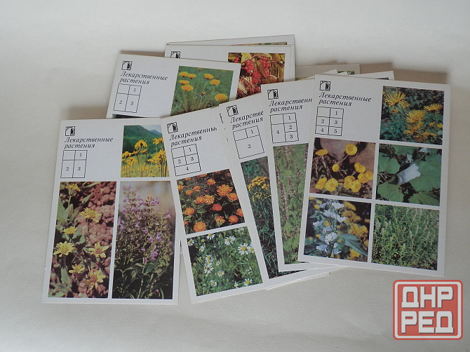 Набор открыток "Ваш приусадебный участок. Лекарственные растения" Донецк - изображение 5