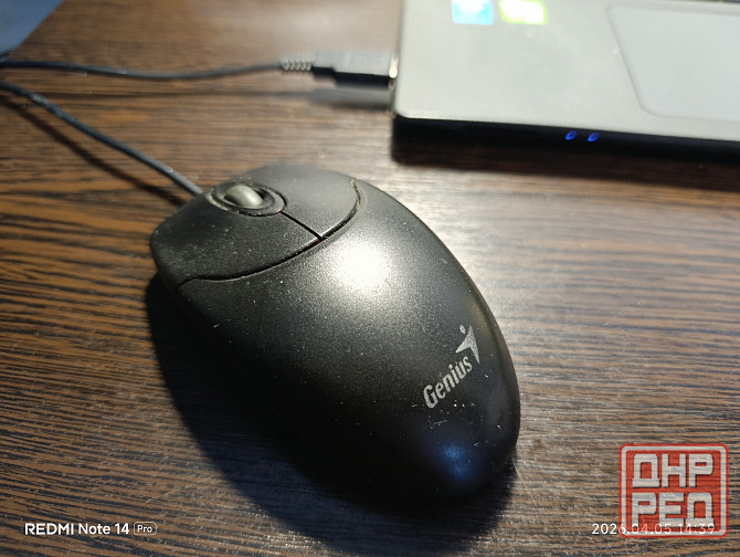 Оптическая мышь Genius NetScroll 120 Донецк - изображение 1