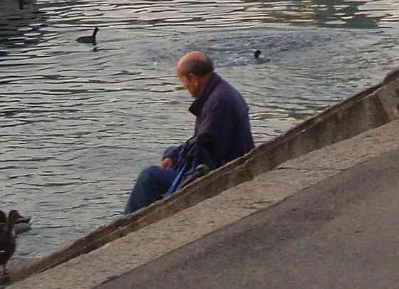 Шо бедный Брейвик в ChatKgb Донецк