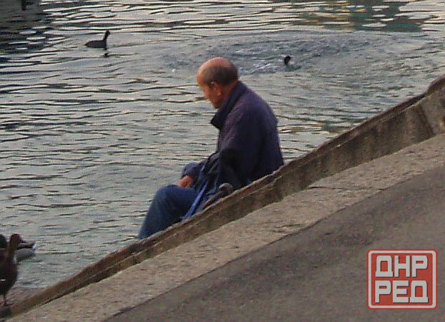 Шо бедный Брейвик в ChatKgb Донецк - изображение 1