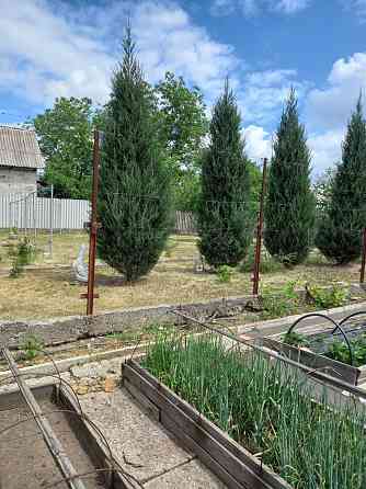 ново калиново Макеевка