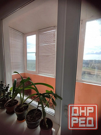 Сдам 2 комн Цветочный Маями Донецк - изображение 5