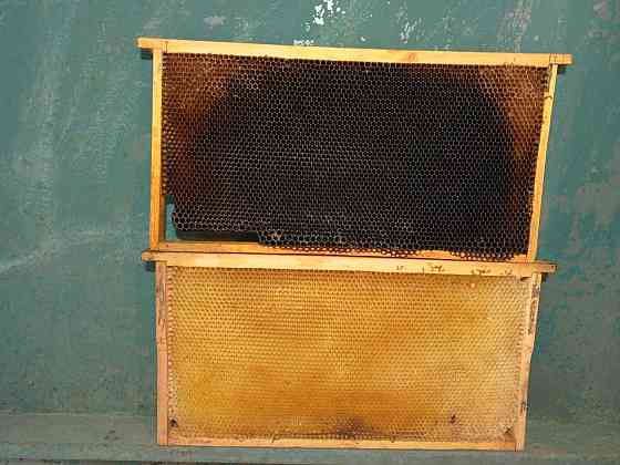 Рамка сушь Снежное