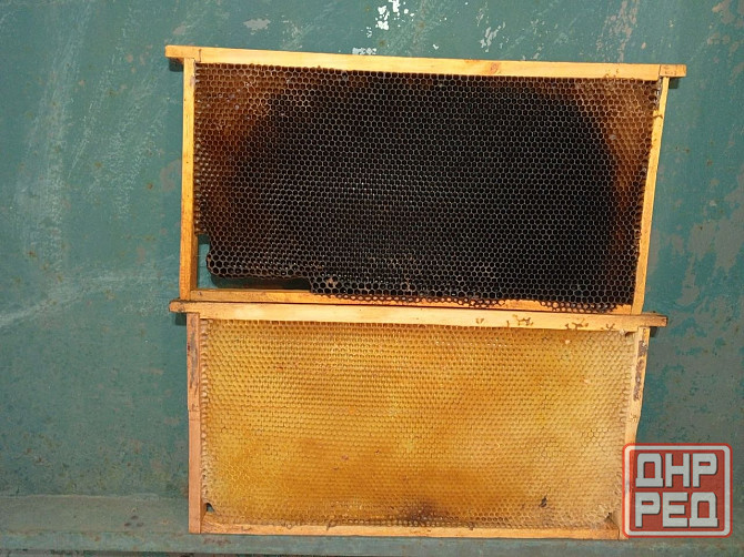 Рамка сушь Снежное - изображение 1