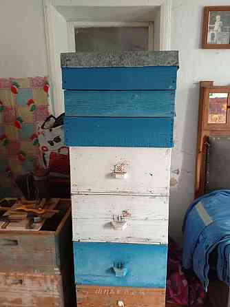 Корпус ,, рутовские,, , крышка, днище . Снежное