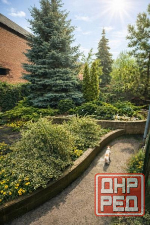 Продаётся большой комфортный дом в Червоногвардейском районе, пер.Тупиковый Макеевка - изображение 6