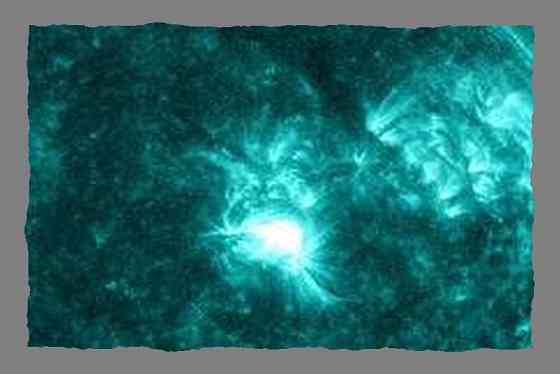 Кроме звёзд, с ушами швайнэ Донецк