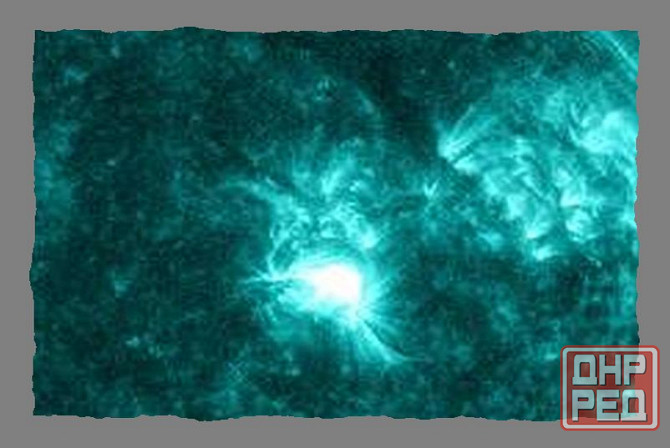 Кроме звёзд, с ушами швайнэ Донецк - изображение 1