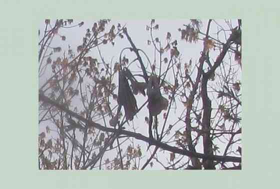 Модный Кизляр, следи за сабо Донецк