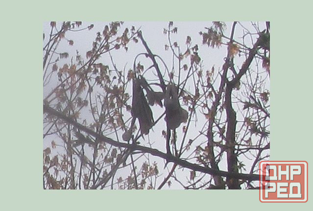 Модный Кизляр, следи за сабо Донецк - изображение 1