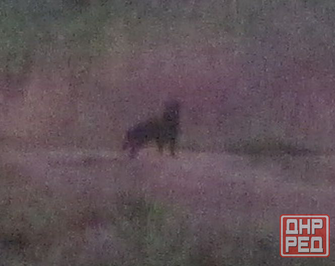 Будут "рублёвку" о танке брать Донецк - изображение 1